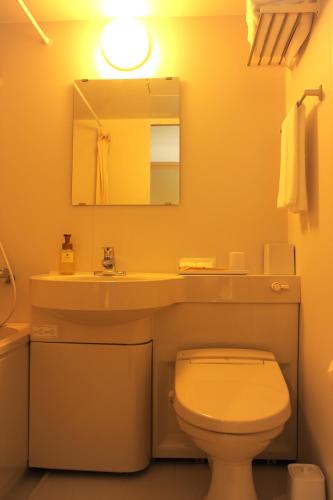 a bathroom with a sink and a toilet and a mirror at パークホテル九頭竜 in Ōno