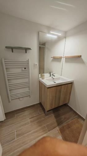 a bathroom with a sink and a mirror at Clos de la Vigne Saint Roch in Crêches-sur-Saône