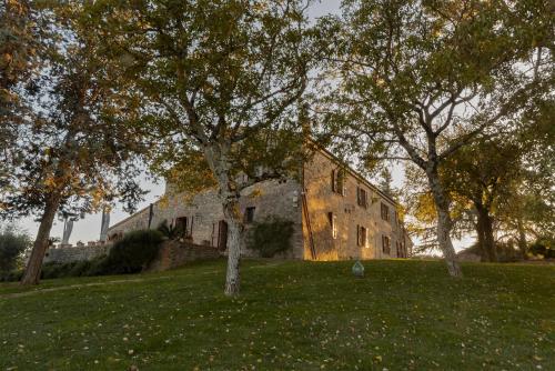 an old stone building in a field with trees at Il Giuncheto in Trequanda