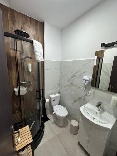 a bathroom with a shower and a toilet and a sink at Rulers Smart Rooms in Satu Mare