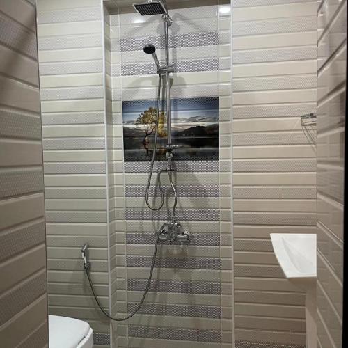 a bathroom with a shower and a toilet at Sheki Villa boutique in Sheki