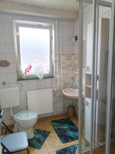 a bathroom with a toilet and a sink and a window at Zum Alten Pferdestall in Eppingen