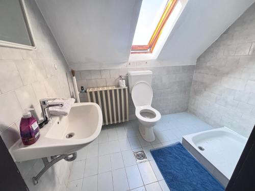 a bathroom with a sink and a toilet and a tub at Retro Land Bogács in Bogács