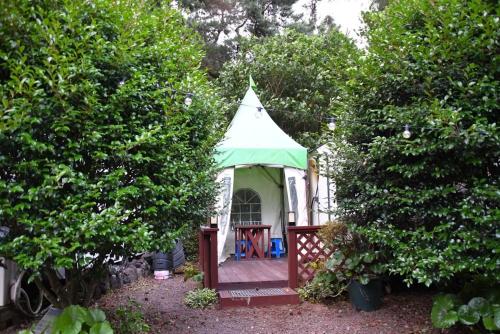 Gallery image of Jeju Forest in Jeju