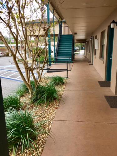 a hallway of a building with a tree and stairs at Dinner Bell Motel in Dunnellon