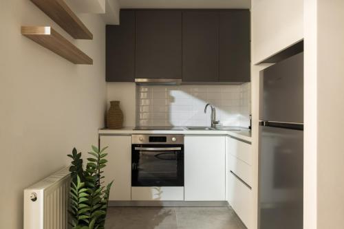 Amber Luxury Αpartment by BiNoBi!
