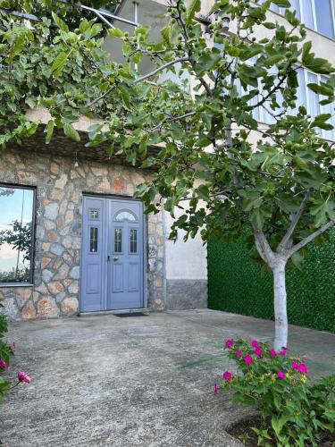 a blue door of a building with a tree at Alira Rooms in Pogradec