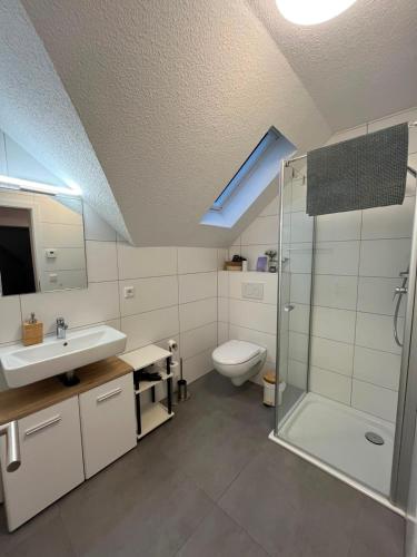 a bathroom with a shower and a toilet and a sink at Ferienwohnung Südblick in Barntrup
