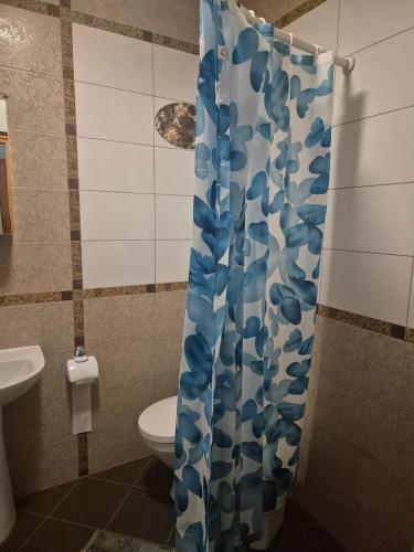 a bathroom with a toilet and a shower curtain at Gintolina in Kazlų Rūda