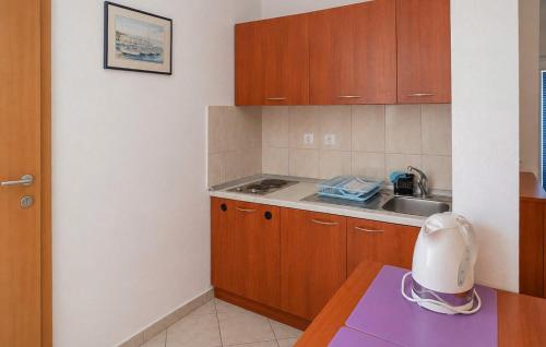 Cozy Apartment In Baska Voda With House Sea View