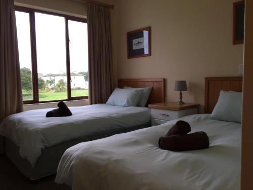 duas camas num quarto de hotel com uma janela em Keurbooms River Lodge 1311 em Plettenberg Bay