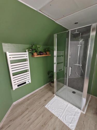 a bathroom with a shower and a green wall at Le Havre de Chaux in La Bretenière