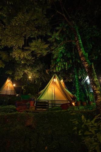 two tents are set up in a forest at night at Echo Haven Glamping Tent Munnar in Munnar