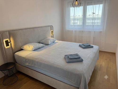 Luxury OpenSpace Apartment-Brand New 65-inch Smart TV, Dryer, Built-in closet
