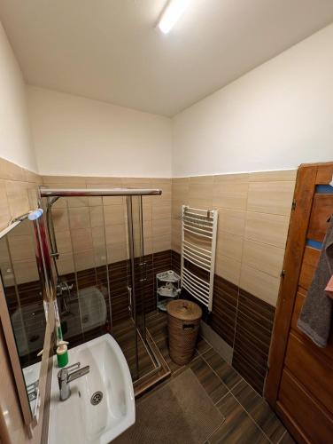 a bathroom with a sink and a shower at B57 guesthouse in Budakalász