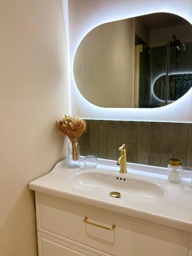 a bathroom with a sink and a mirror at Le Cocon Provençal in Monteux
