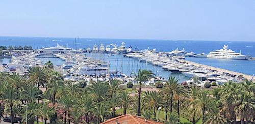 PLAGE Pointe Croisette Parking