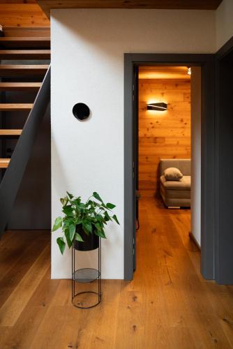 a house with a potted plant in a hallway at Great Lake in Nová Baňa