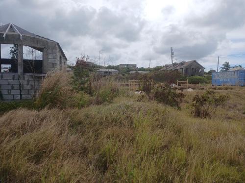 a field of tall grass next to an old building at Vacant Land in Saint Philip