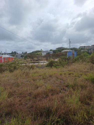 a field of grass with buildings in the background at Vacant Land in Saint Philip