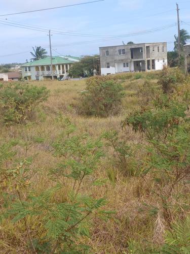a field of grass with houses in the background at Vacant Land in Saint Philip