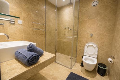 a bathroom with a shower and a toilet and a sink at Beacon Guest Rooms Sandyford in Sandyford