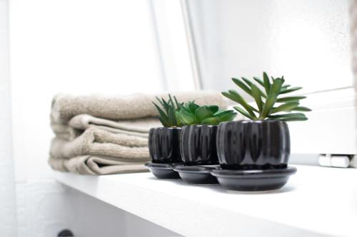 Le Mont d'Arène Residence II - Downtown - Studio Cozy