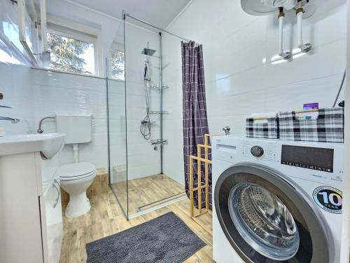a washing machine in a bathroom with a toilet at Centar Apartman in Apatin