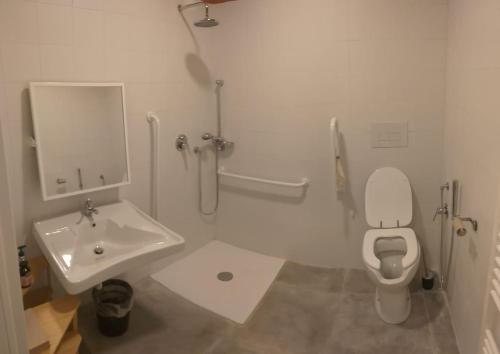 a bathroom with a white toilet and a sink at Ostello Postumia in Torre deʼ Picenardi