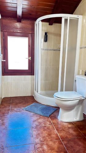 a bathroom with a toilet and a shower at Apartamento Tres in Guadalaviar