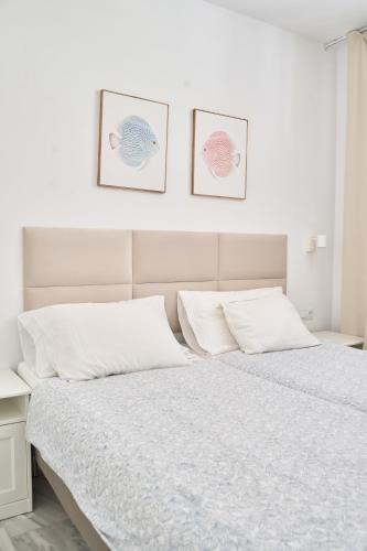 Tropical Apartment - La Caleta