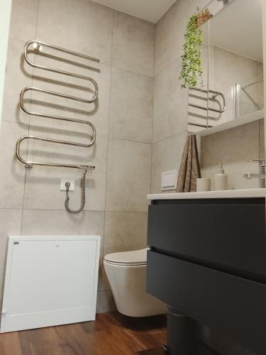 a bathroom with a toilet and a sink at Minija Stay Priekule 1925 in Priekulė