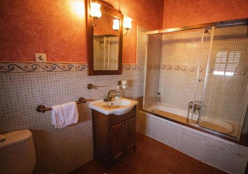 a bathroom with a sink and a shower and a toilet at La Casa de los Templarios in Puebla de Alcocer