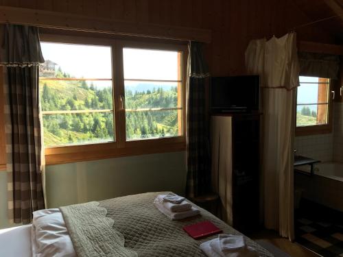 a bedroom with a bed and a large window at Hamilton Lodge & Spa in Belalp