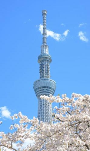 TDHouse立花