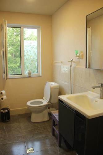 a bathroom with a toilet and a sink and a window at Lilac Orbeti - Cool Climate Country House Near Tbilisi in Pantiani