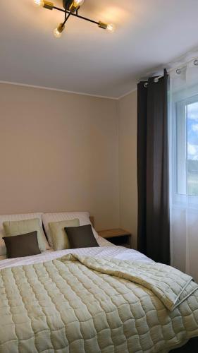 a bedroom with a large bed with a window at Luna Lake - Twój azyl nad Jeziorem Białym in Gostynin