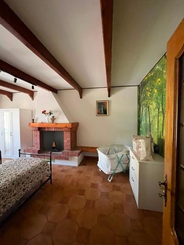 a bedroom with a bed and a fireplace at Mizoun Paola Via Roma 9 in Aisone