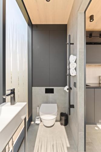 a bathroom with a toilet and a sink at Cork Valley - Mirror Houses in Hontanar