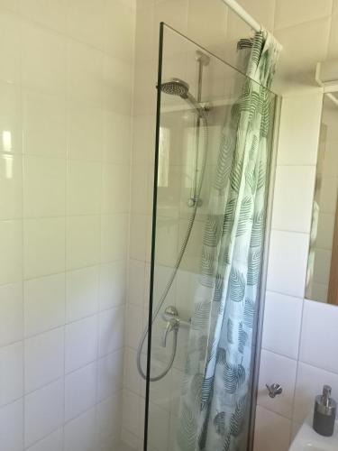 a bathroom with a shower with a glass door at La petite maison 34 in Waulsort