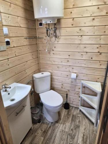 a bathroom with a toilet and a sink at Domki Letniskowe U Żuni in Chłopy