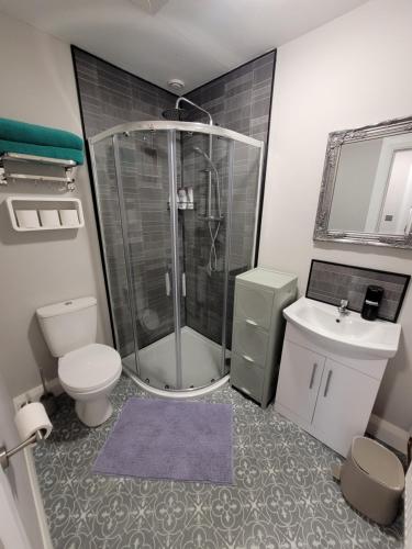 a bathroom with a shower and a toilet and a sink at Rose Cottage Clonmel in Clonmel