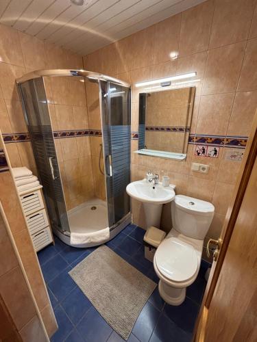 a bathroom with a toilet and a shower and a sink at Pas Kastyti in Palanga