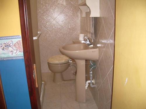 a small bathroom with a sink and a toilet at Romervic vacational apartments in Juangriego