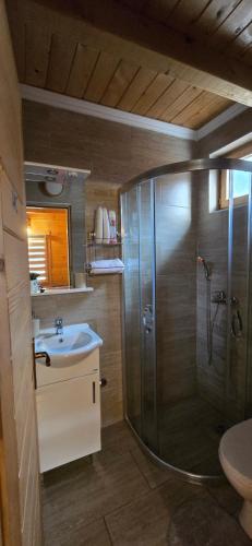 a bathroom with a shower and a sink at Oasis of Peace in Cetinje