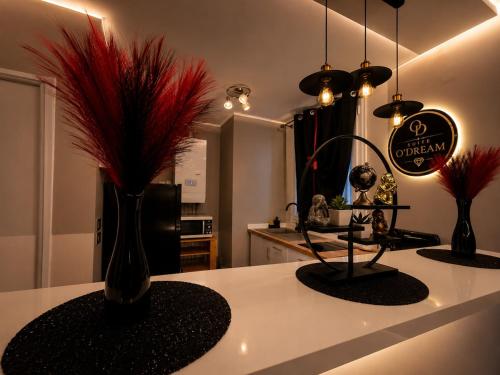 a kitchen with a counter with a vase with red feathers at Suite O'Dream - Jacuzzi - Cinéma - Climatisation in Fleury-les-Aubrais