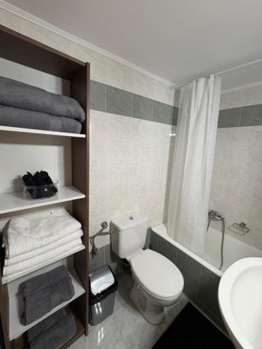 a bathroom with a toilet and a sink at Suva Apartments Chania in Agia Marina Nea Kydonias