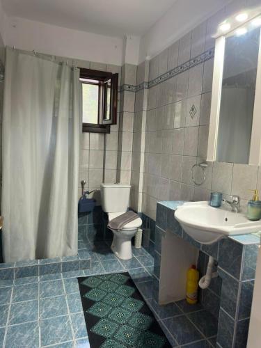 a bathroom with a toilet and a sink at Villa Malila in Panagia