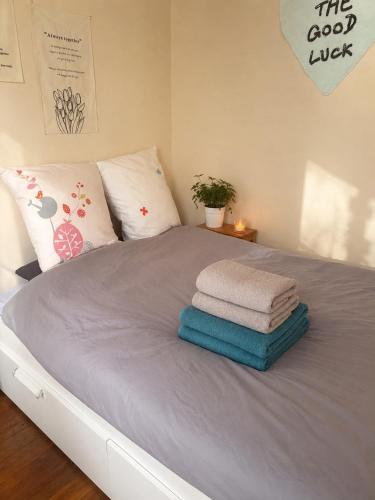 Cozy Parisian Apartment Near Eiffel Tower