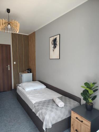 ein Schlafzimmer mit einem Bett und einer Topfpflanze in der Unterkunft Hotel Wołów in Wołów